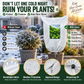 ⏳Time-Limited Special⏰WINTER GARDEN ESSENTIAL | Plant Frost Protection Cover – Breathable Reusable Cover for Shrubs, Pots & Young Trees