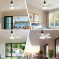 ⏳Limited-time Special Price:£ 15.99❄️❄️40W LED Ceiling Fan Light 20.5in with Remote Control - E27 & B22 Adapter | Quiet Fan Light for Bedroom, Kitchen, Garage😴